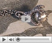 youtubeshow Image 1