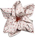 image for french hairclip Dots golf Motive Design