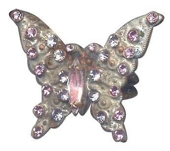 Insects